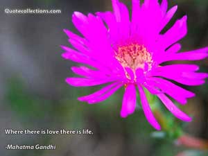 mother_teresa_quotes Quotes 4